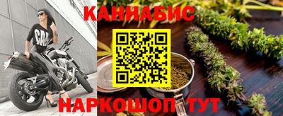 индика Ачхой-Мартан